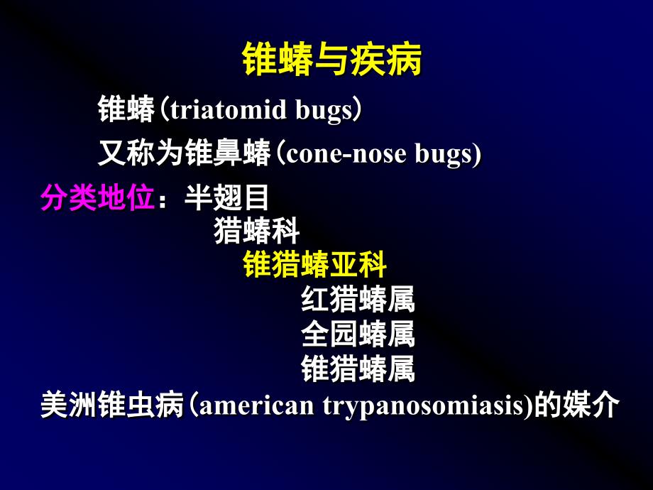 《锥蝽与疾病》ppt课件_第1页