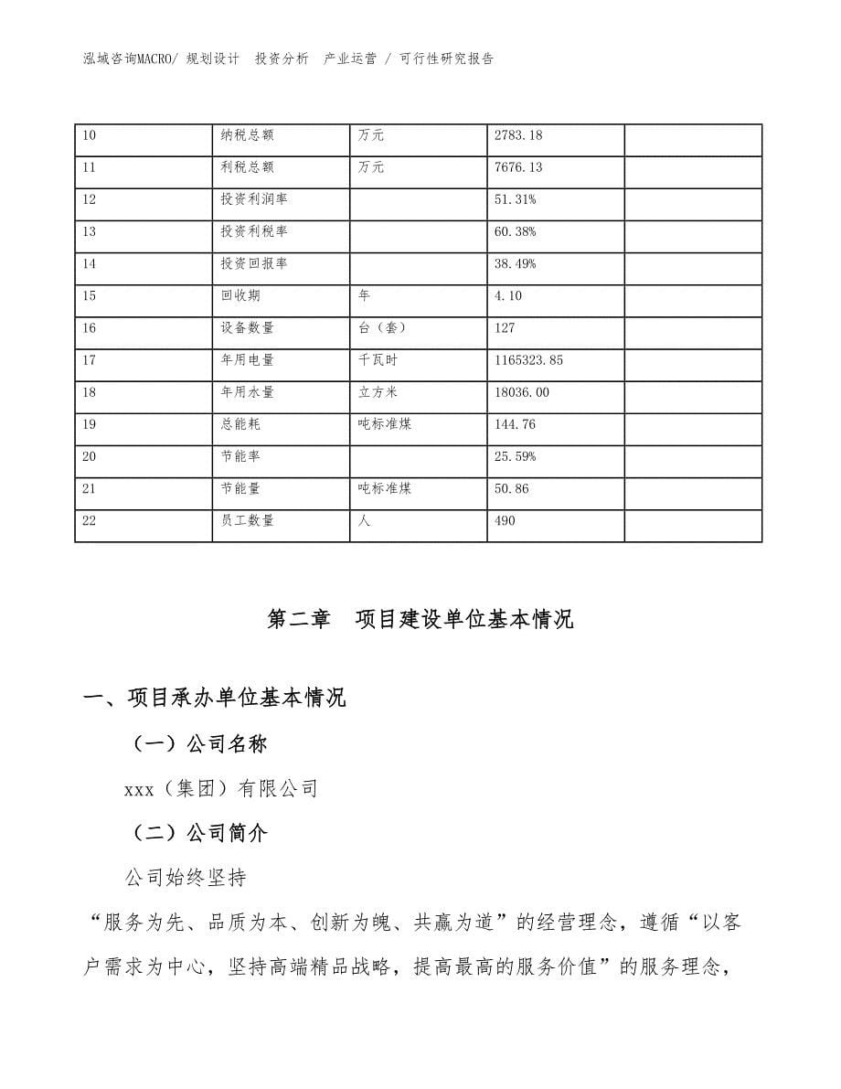 静电消除带项目可行性研究报告（规划可研）_第5页