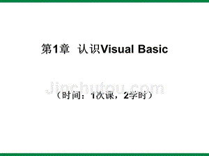 认识visualbasic》ppt课件1初中信息技术选修