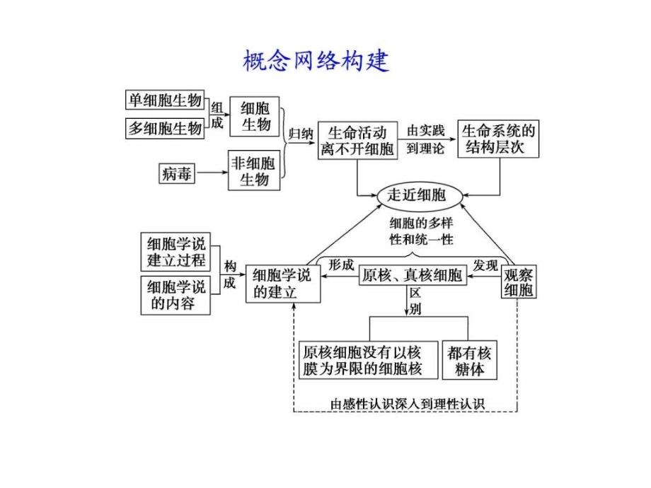 会考复习 2 细胞的结构_第2页