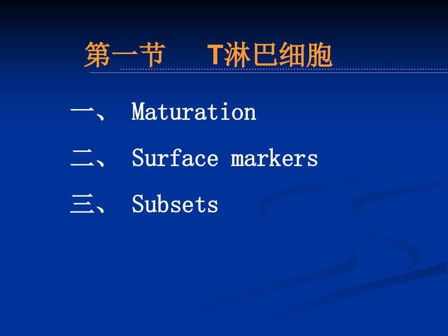 《医学免疫学教学课件》08 lymphocy_第5页