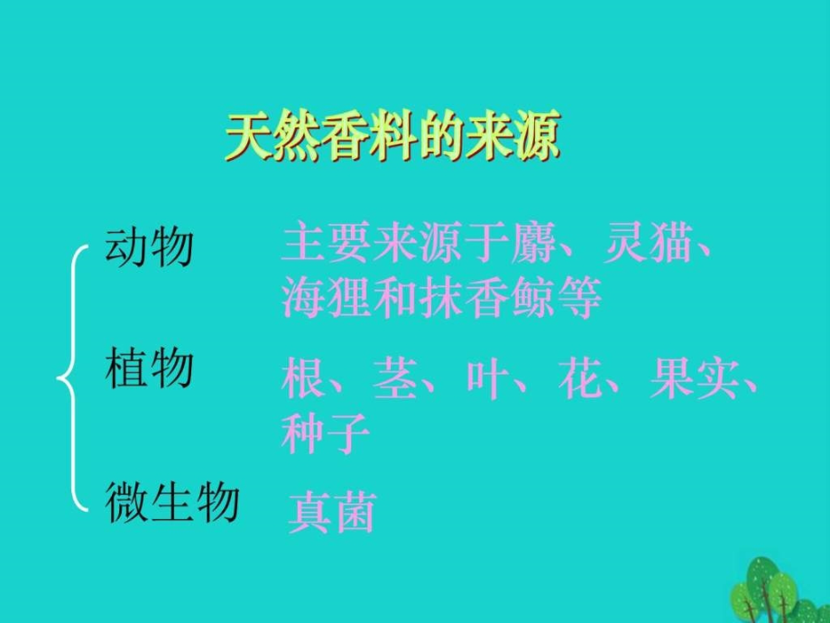 2017高中生物植物有效成分的提取6.1植物芳香油的提取解_第3页