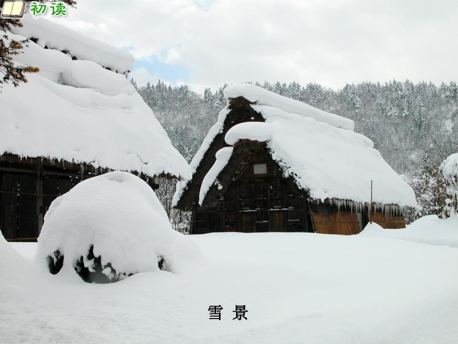 人教版小学三年级语文上册《江雪》_第1页