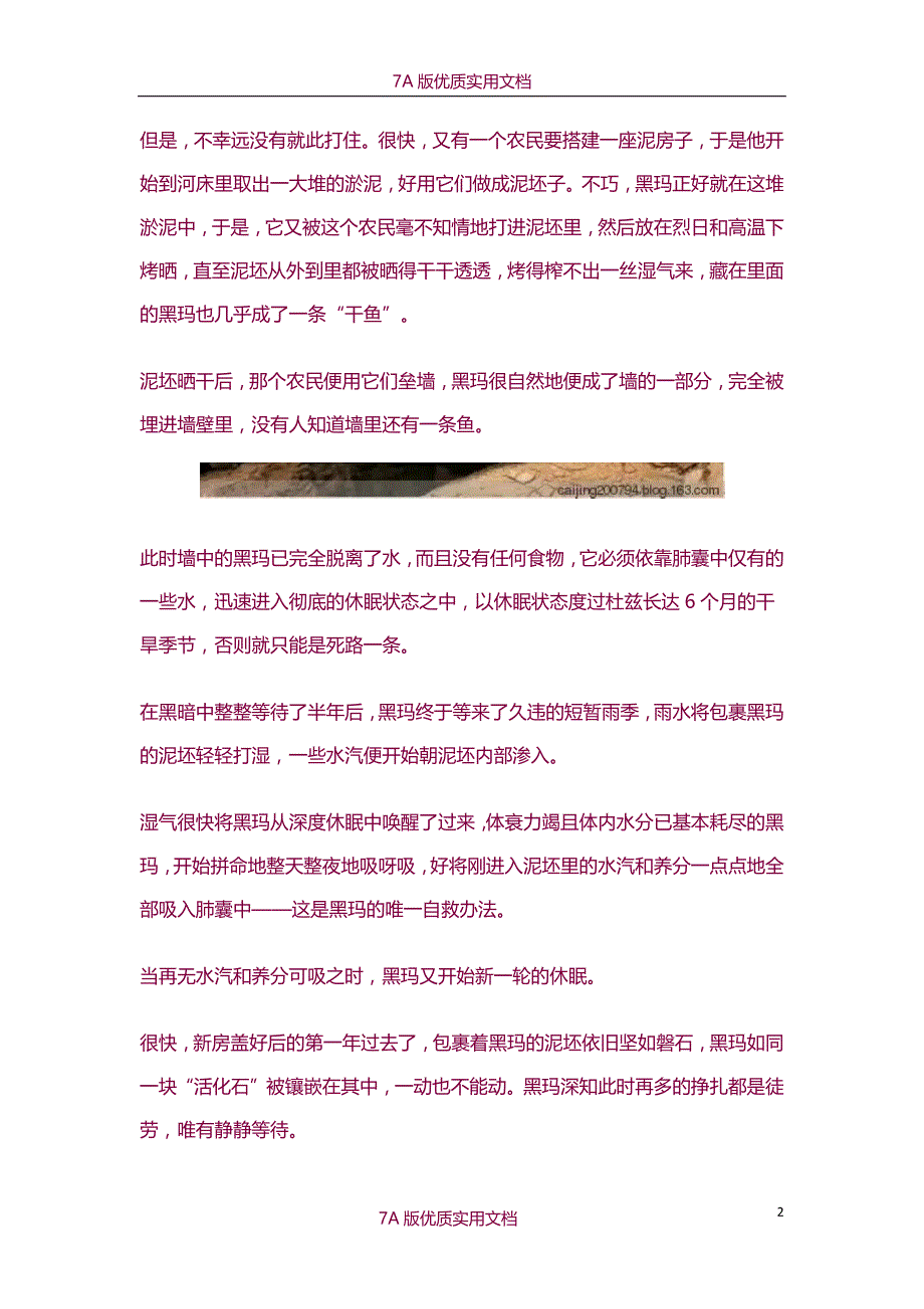 【6A文】一条忍着不死的鱼_第2页