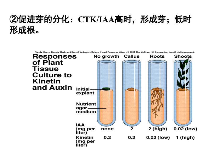 植物组织培养之培养基配制_第3页