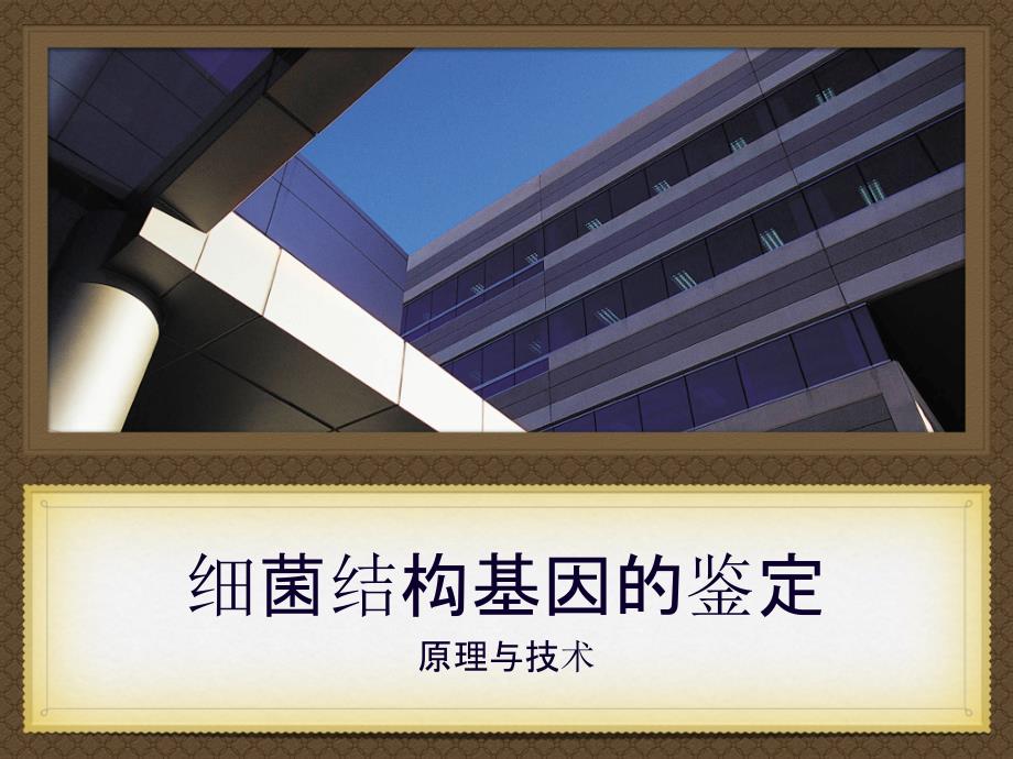 微生物生理学（王海洪）6细菌结构基因的鉴定副本_第1页
