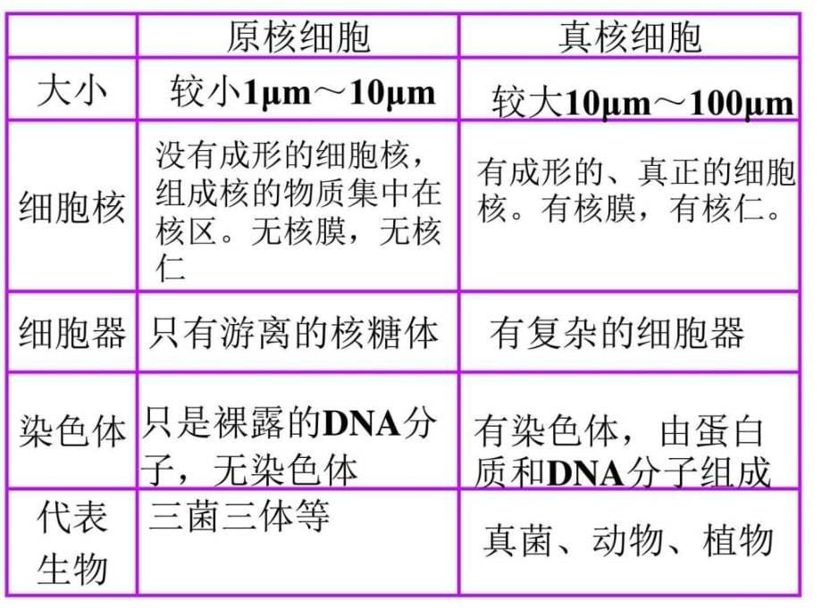 高一生物必修1期末全册复习-1_第5页