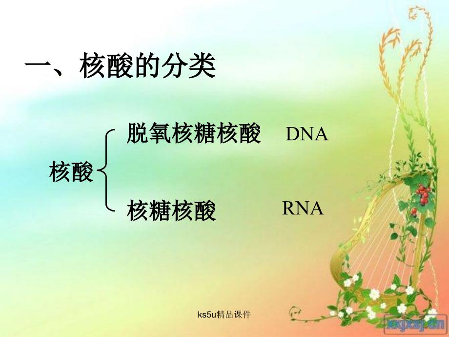 核酸的结构和功能(中图版)_第3页