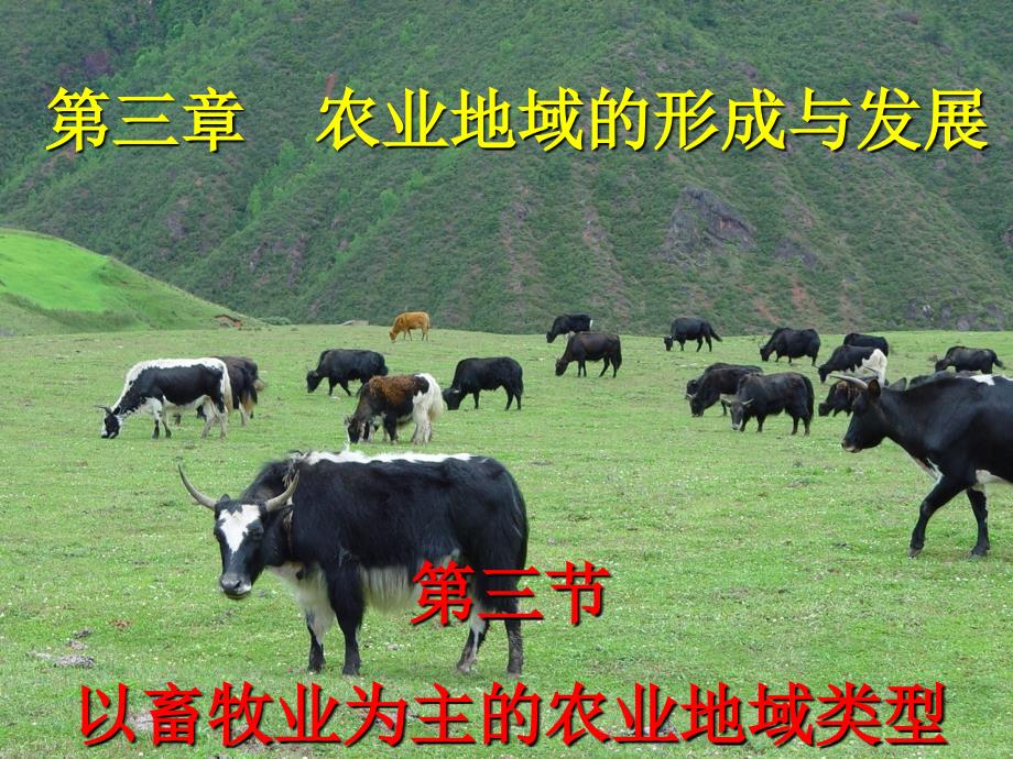 人教版高中地理课件：以畜牧业为主的农业地域类型（大牧场放牧业）_第1页