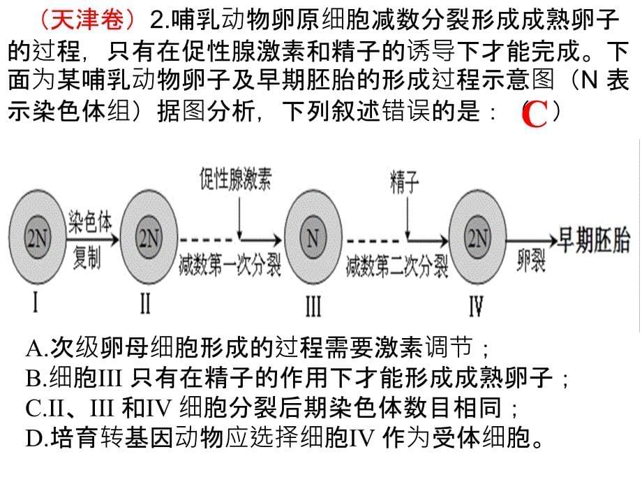 专题13细胞的生命历程综合复习_第5页