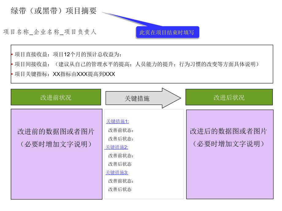 六西格玛项目报告模板_第1页