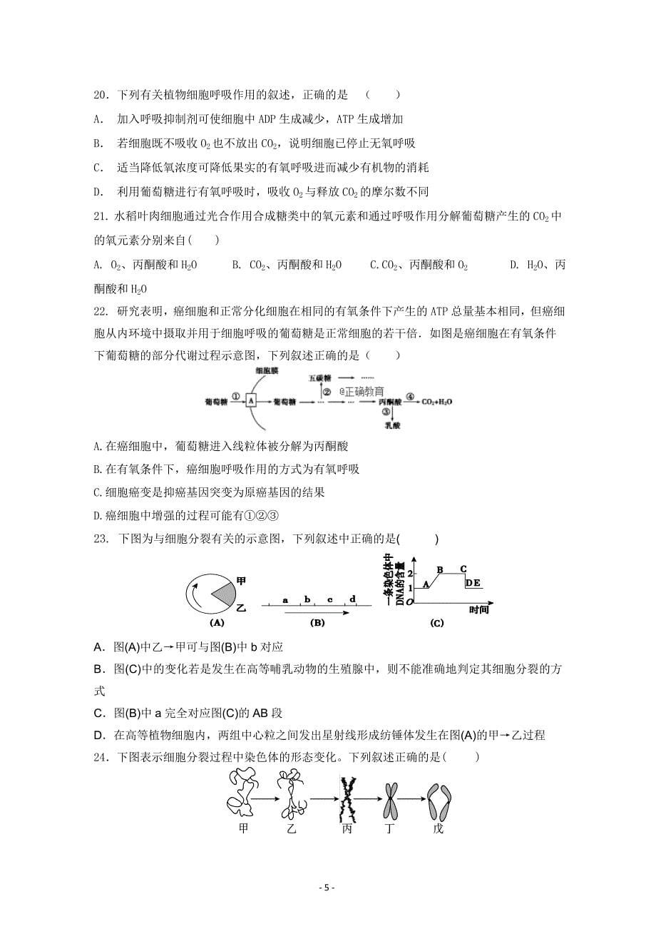 江西省会昌中学2019届高三上学期期中考试生物---精校 Word版含答案_第5页