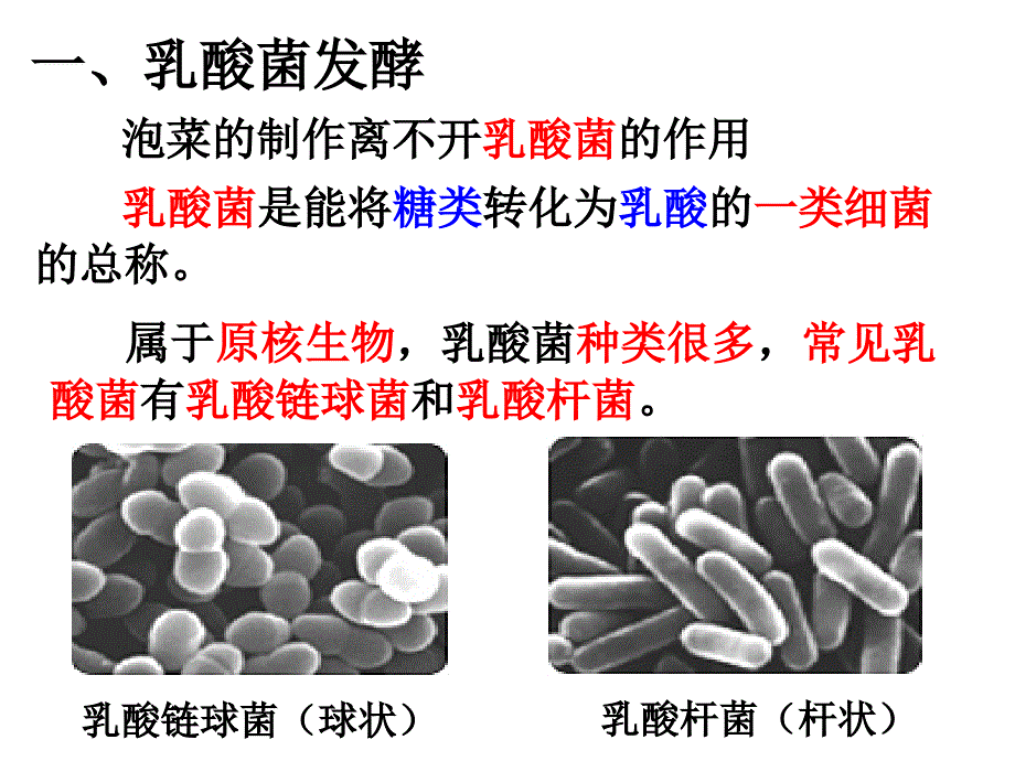 制作泡菜并检测亚硝酸盐含量ppt_第3页