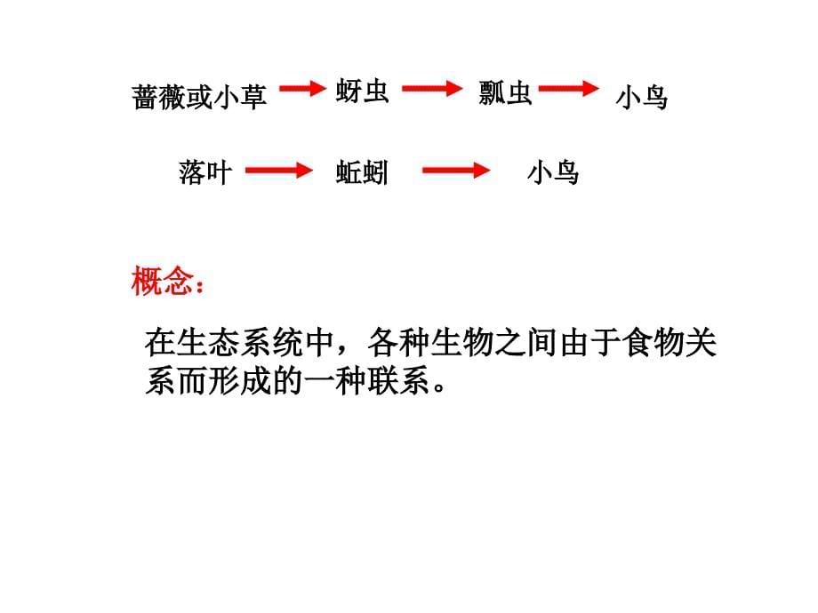 生物下：第六单元第一章第二节食物链和食物网课件济南版_第5页