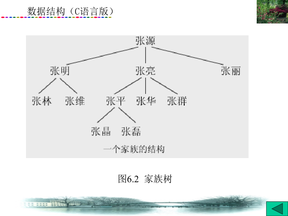 《信息与通信树》ppt课件_第4页