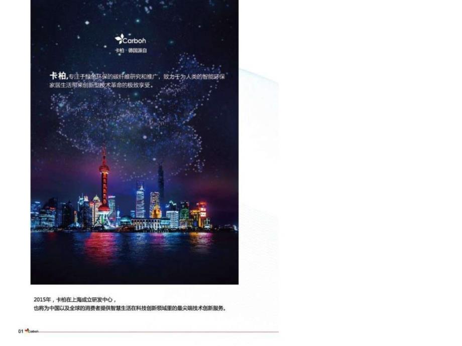循冠新能源科技（上海）有限公司_第2页
