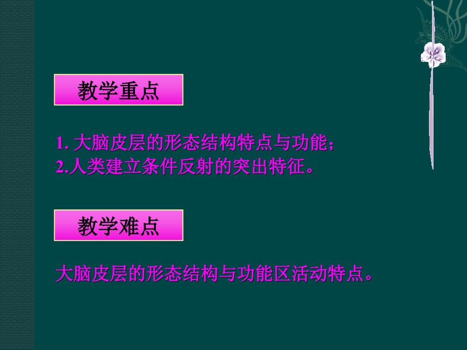 生物下册12.1神经系统与神经调节(课件3)北师大版_第4页