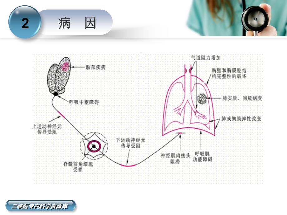 内科学-呼吸衰竭_第4页