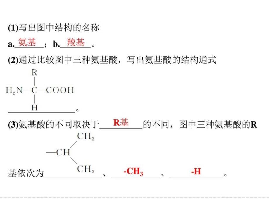 生物课件必修1第1单元组成细胞的分子第3讲_第3页
