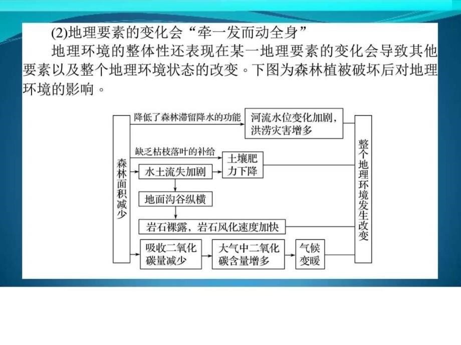 自然地理环境的整体性与差异性 （共20张ppt）_第5页