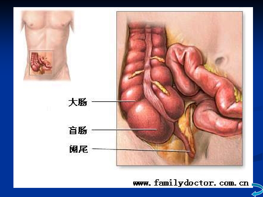 结直肠肛管疾病-1_第4页