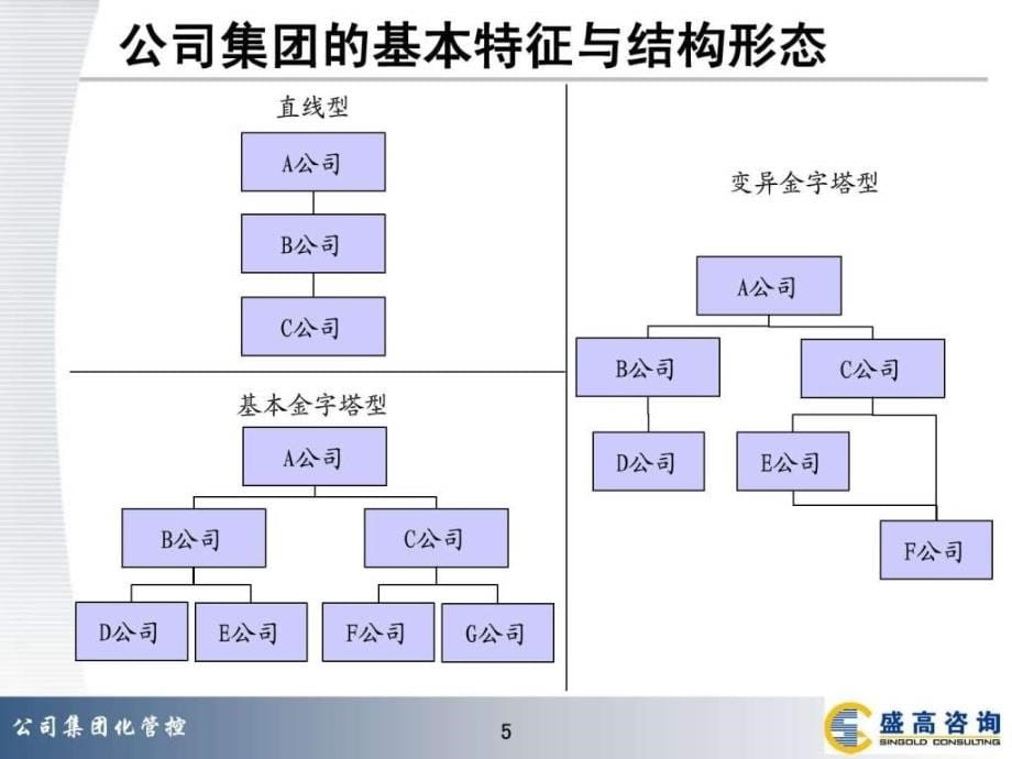 公司集团化管控v-1_第5页