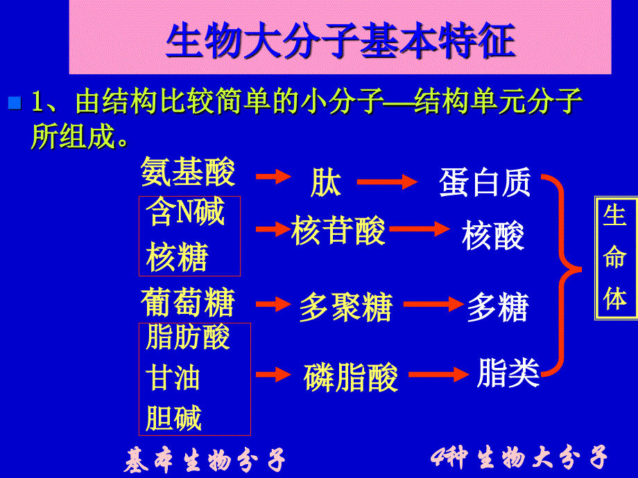 生物的化学组成_第4页