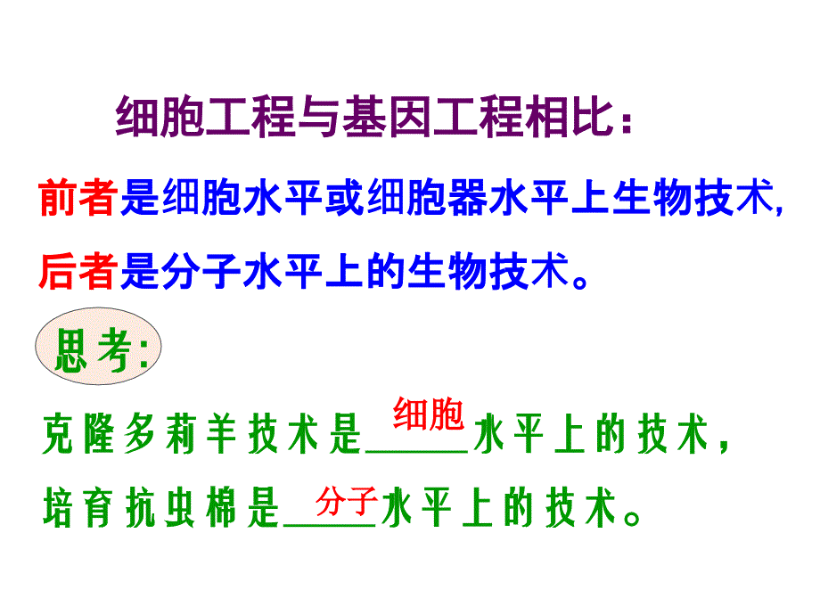 植物细胞工程.ppt_第4页