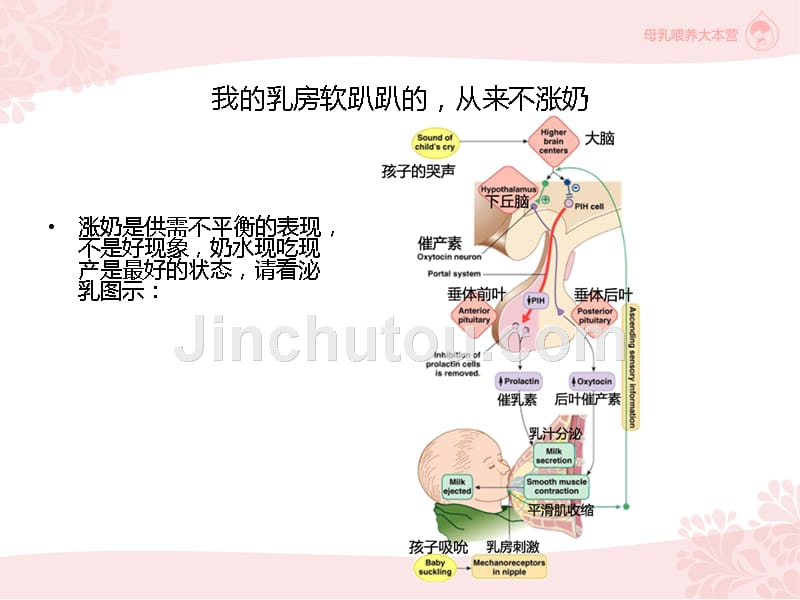 母乳周上海站活动_第4页