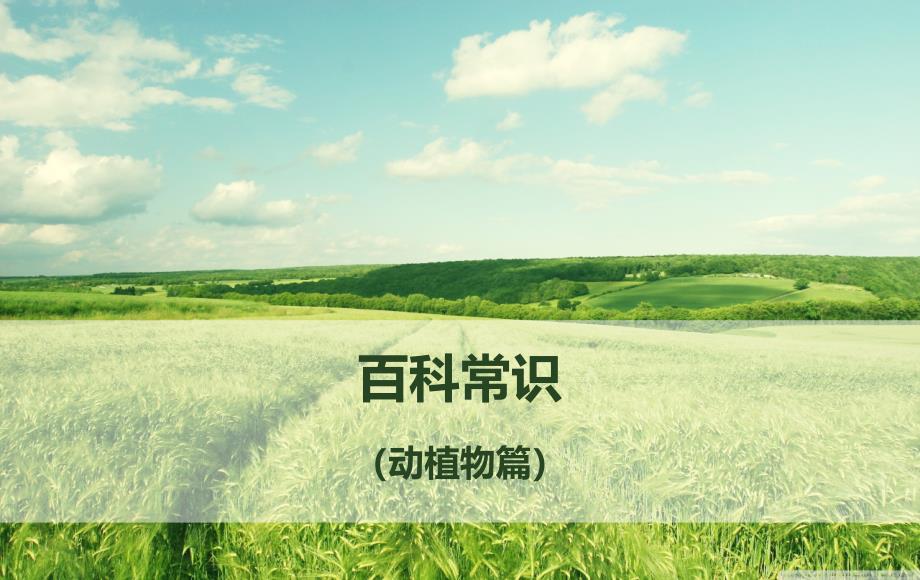 百科常识(动植物)ppt_第1页