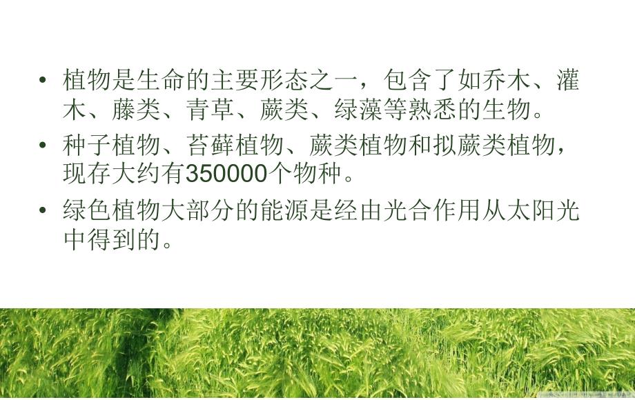 百科常识(动植物)ppt_第3页