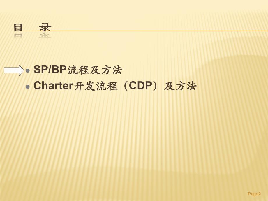 sp bp & cdp charter公司战略规划_第2页