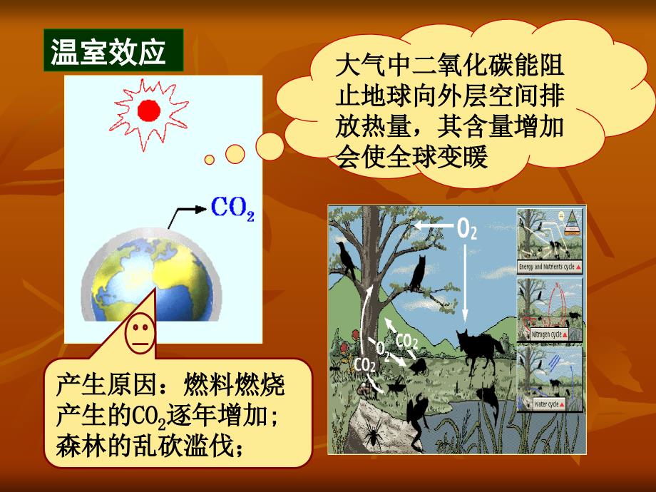 化学第四章二氧化碳的奥秘课件北京课改实验版_第4页