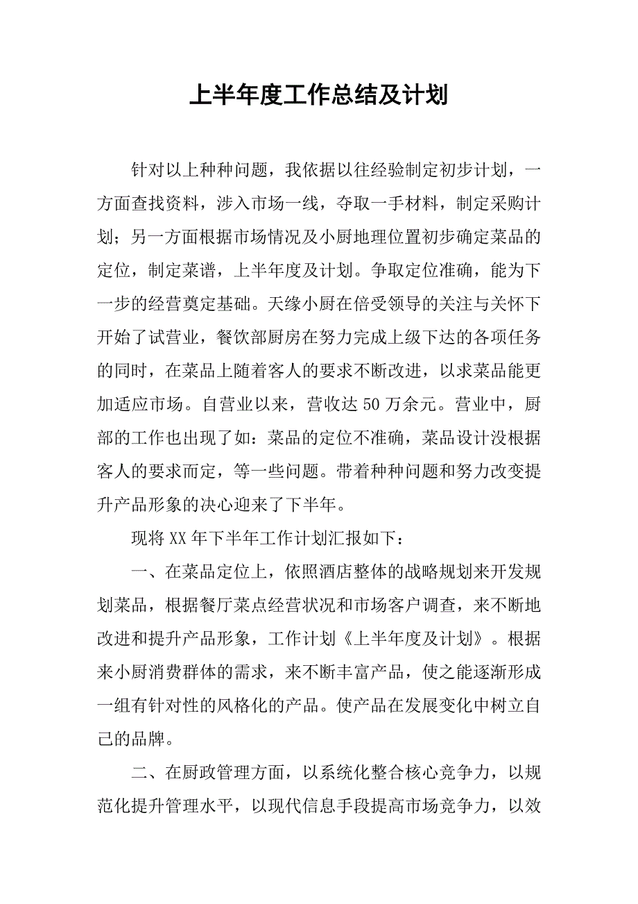 上半年度工作总结及计划_第1页