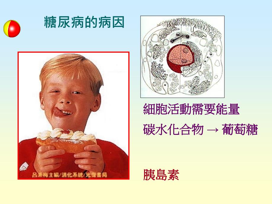 《全球糖尿病人》ppt课件_第3页