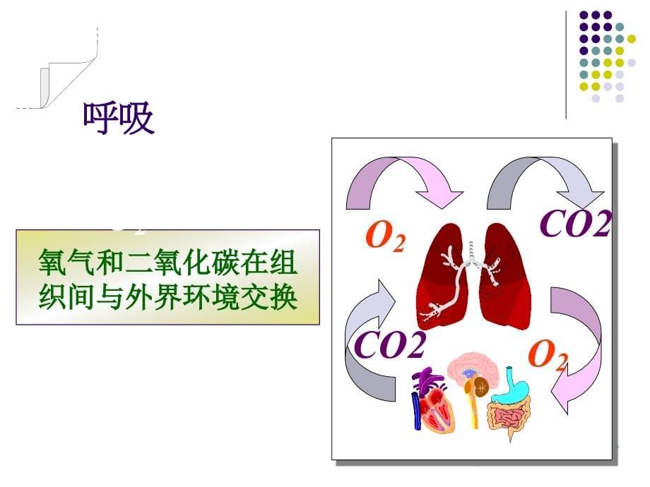 [预防医学]机械通气_第5页