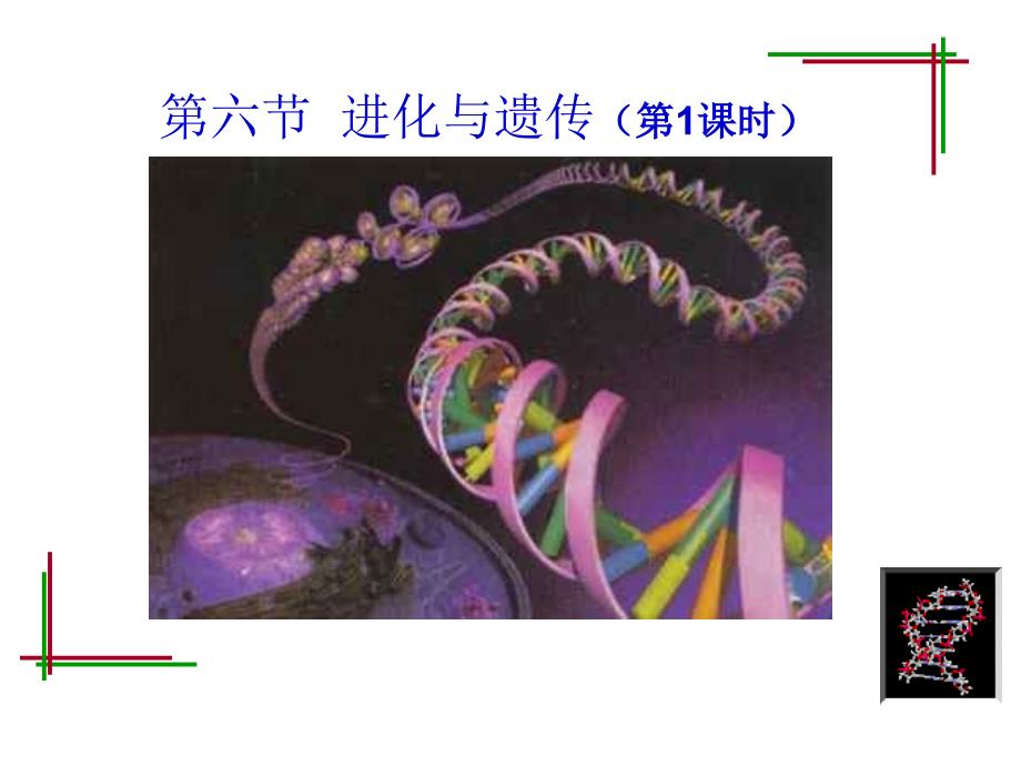 科学遗传和变异_第1页