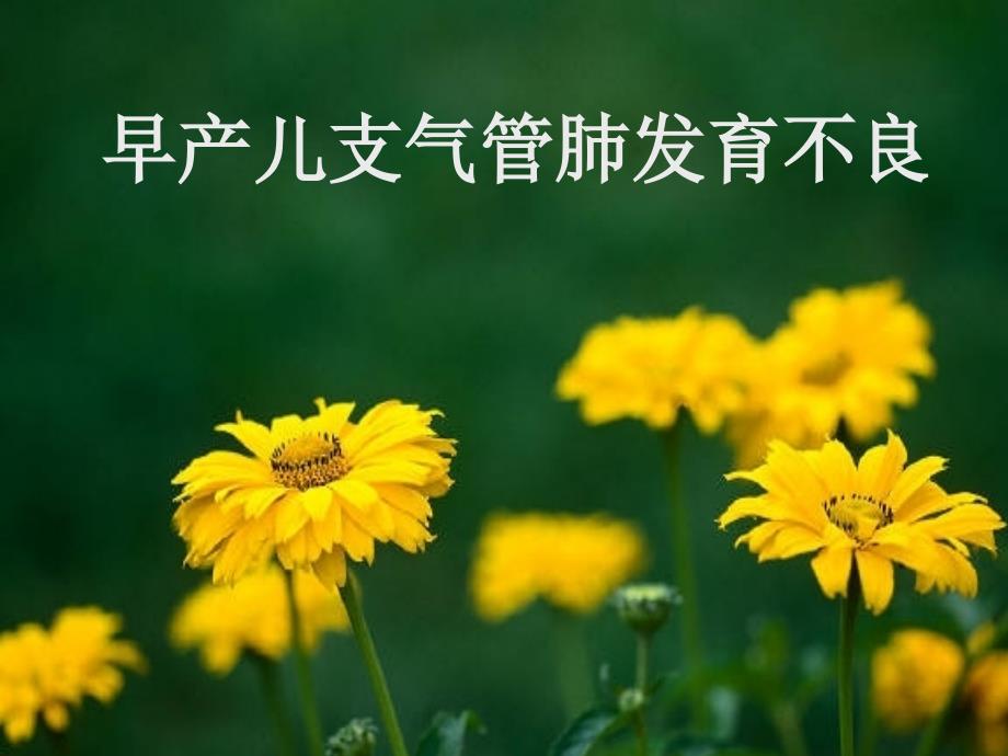 早产儿支气管肺发育不良_第1页