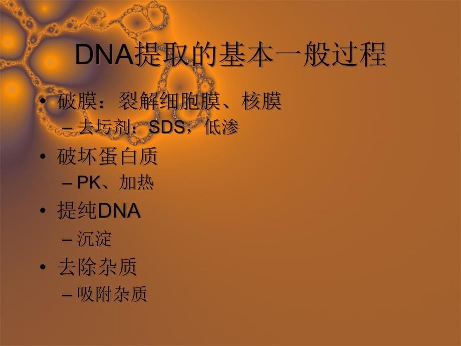 dna extraction 法医学_第5页