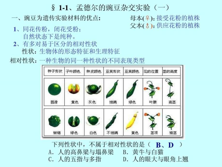 高中生物必修2第一章、遗传因子的发现_第4页