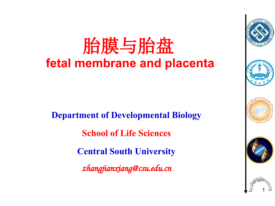发育生物学教学课件18-1-胎膜与胎盘_第1页