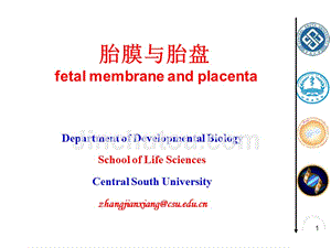 发育生物学教学课件18-1-胎膜与胎盘