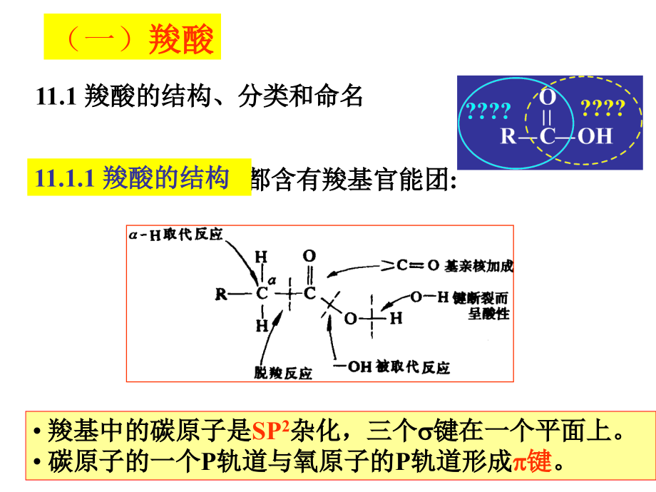 胡勇-有机化学教学 第十一章 羧酸和取代羧酸_第2页