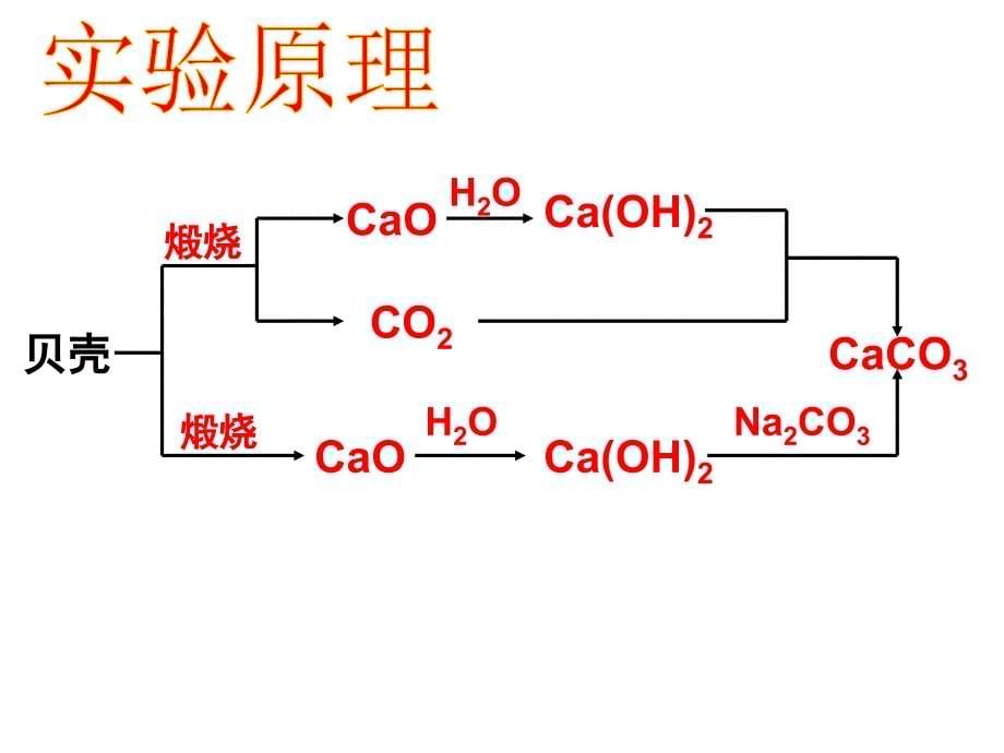 苏教版高中化学《用贝壳制取碳酸钙》_第5页