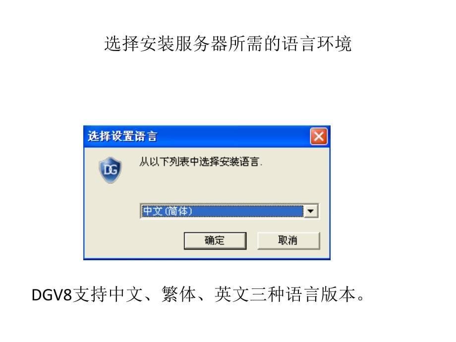 图文档卫士agiledgv_第5页