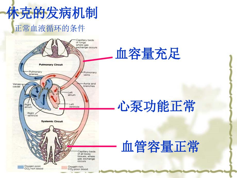 休克的分类及抢救87513_第4页