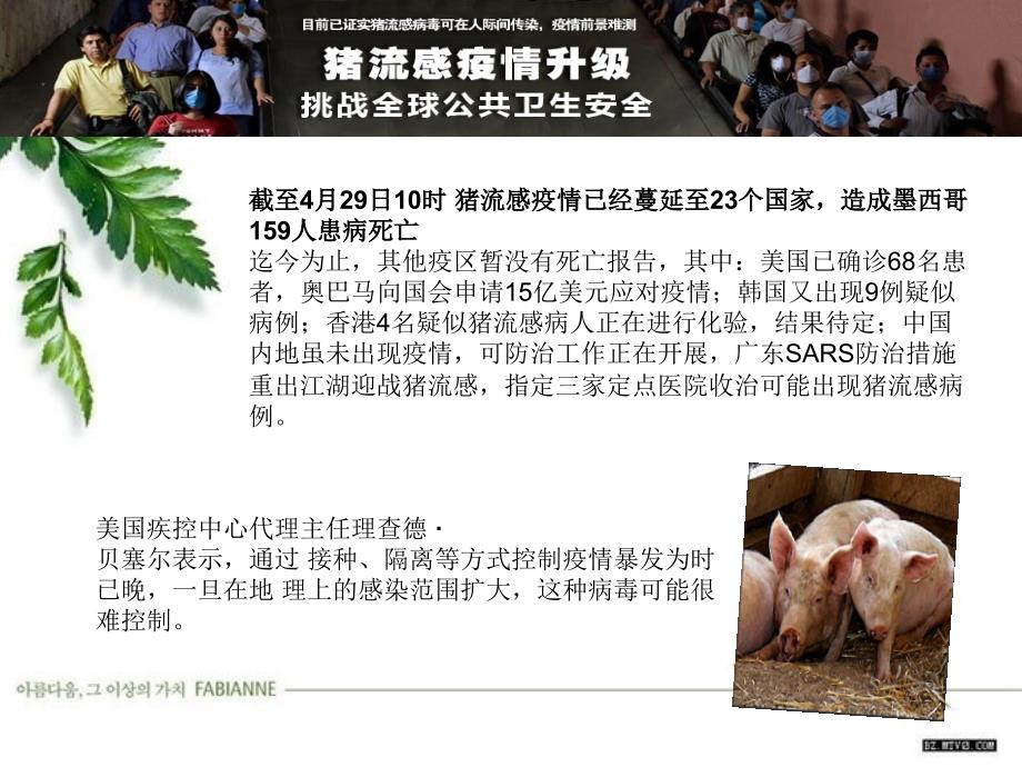 《猪流感防治》ppt课件_第2页