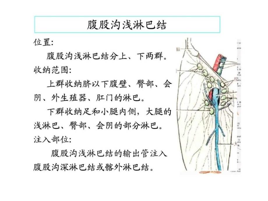 起搏器医师必看,穿刺医师必看_第2页