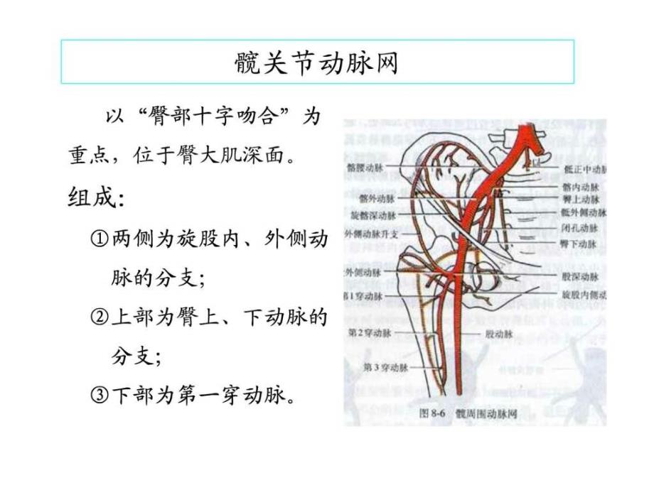 起搏器医师必看,穿刺医师必看_第3页