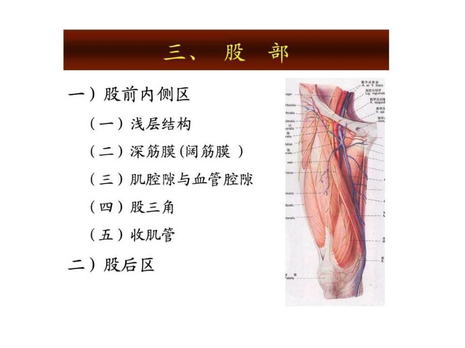 起搏器医师必看,穿刺医师必看_第4页